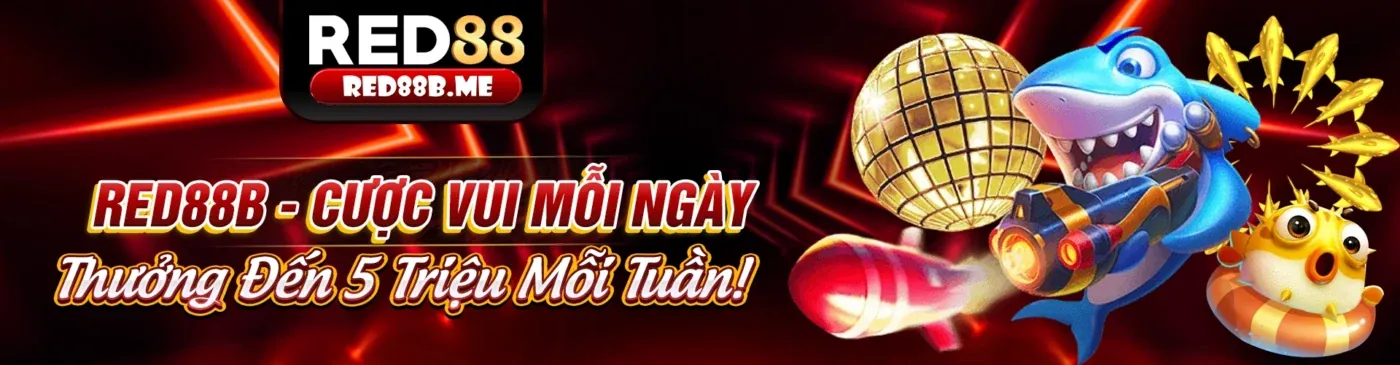Cam kết hỗ trợ khách hàng tận tâm của VN84